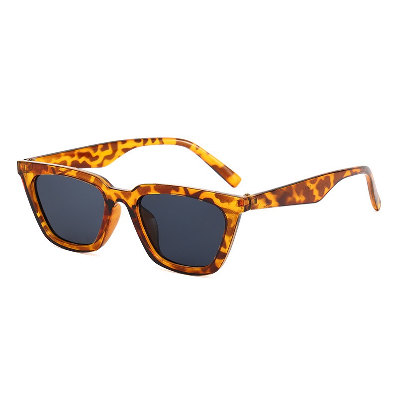 Vintage Leisure Cat Eye Sungla - Sunglasses Cat Eye recension och pris